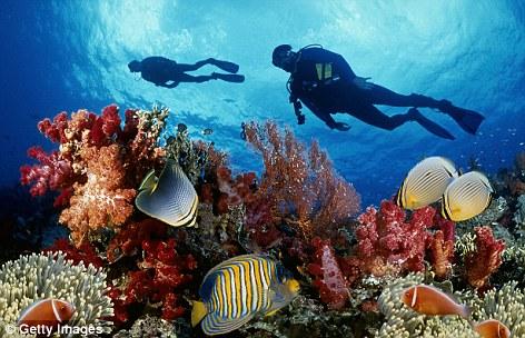 The 5 Best Scuba Diving Vacation Spots in the Caribbean